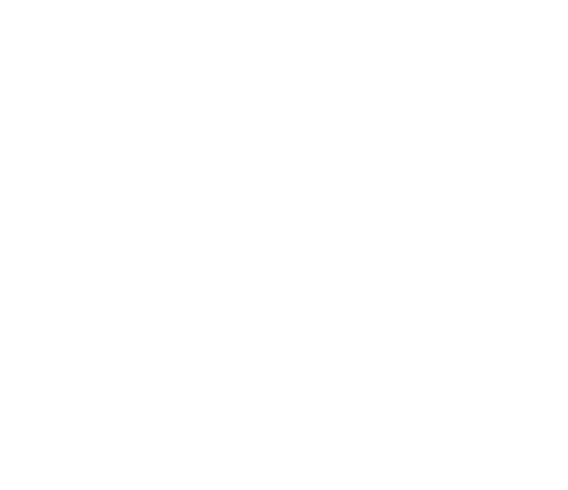 Logo_Fancy_Fashion_by_Evi_kompakt_w